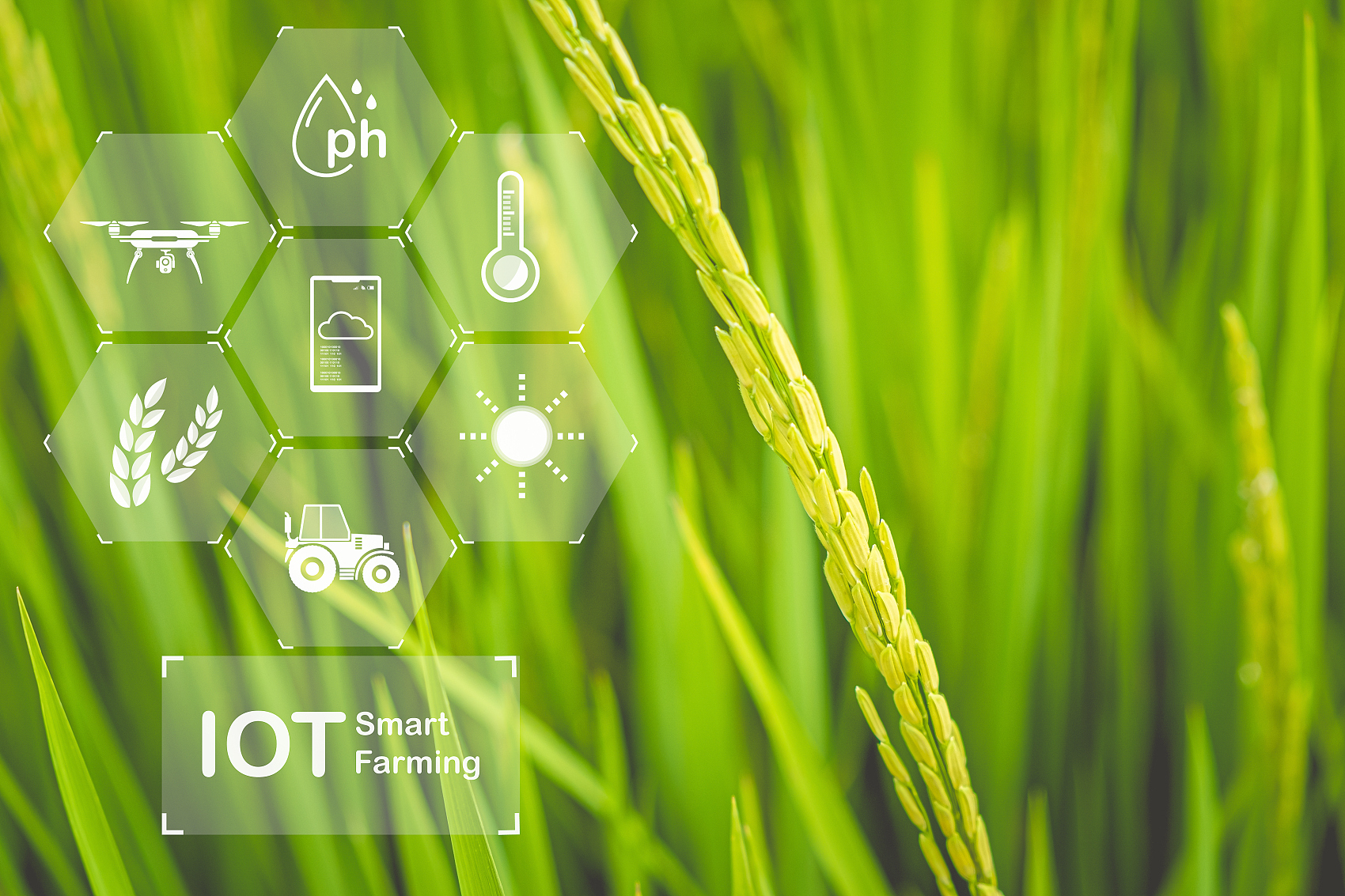1761103575958560.jpg smart agriculture .jpg