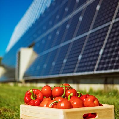 The Role of Sensors in Solar Panel Systems