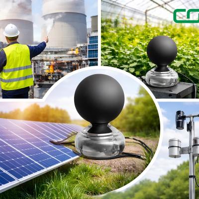 Black Globe Temperature Sensor for Heat Stress and WBGT Monitoring | CDW-11A