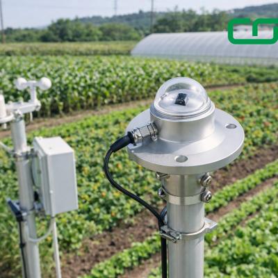 The Role of Solar Radiation Sensors in Greenhouse Climate Control | Greenhouse Solar Radiation Sensor Guide