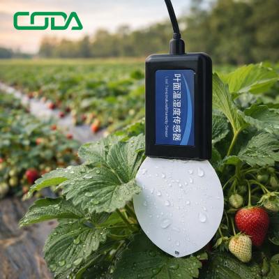 How Leaf Wetness Sensors Work for Crop Disease Monitoring
