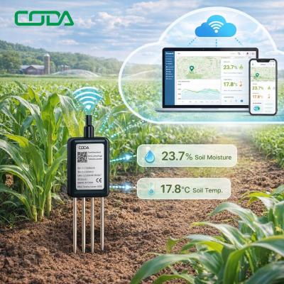 CDT-22B Soil Moisture & Temperature Sensor Case Study: 33% Water Savings in Thai Durian Farm