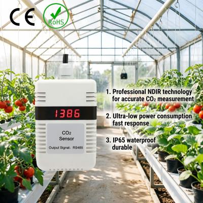 Why Are CO₂ Sensors Used in Greenhouses?